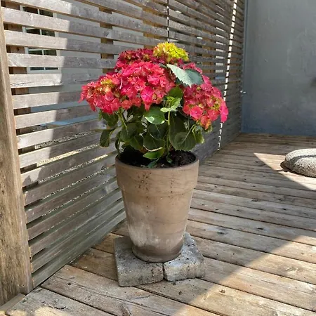 Apt17 - Just Outside Of - Rural And Quiet Surroundings Appartement Billund