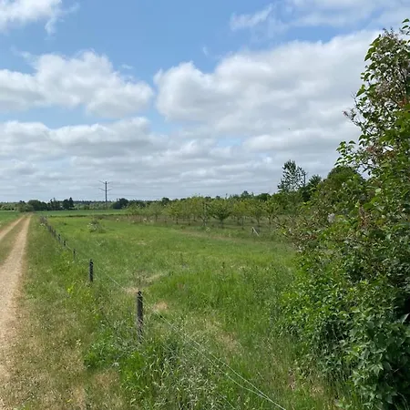 Apt17 - Just Outside Of - Rural And Quiet Surroundings Apartment *